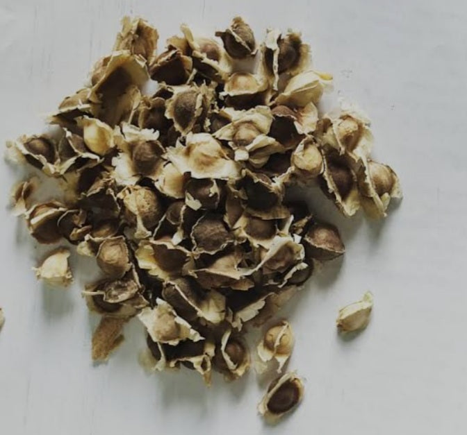 Moringa Dreid Seeds (Organic) - بذور المورنجا المجففه