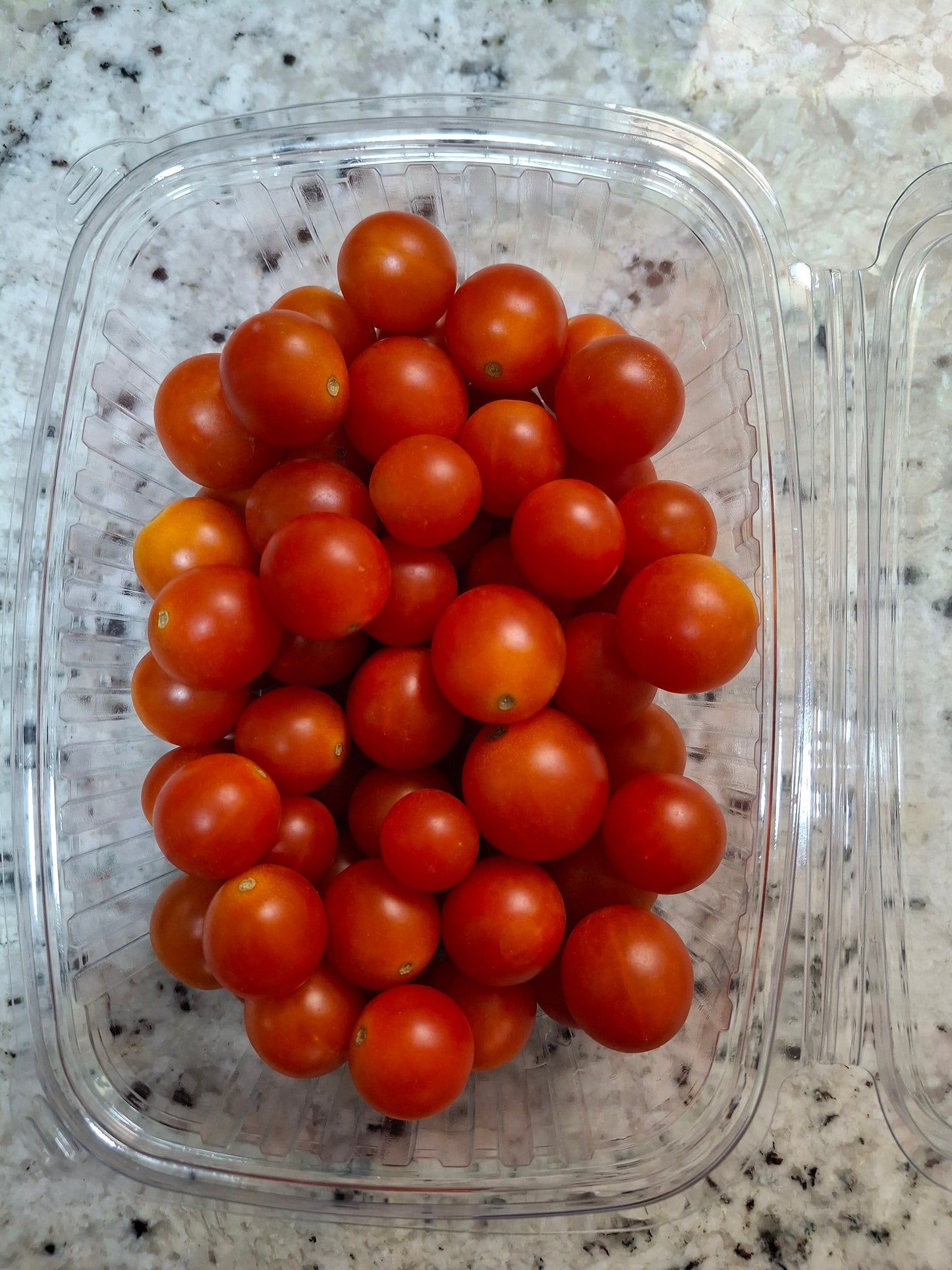 Cherry Tomato طماطم شيرى