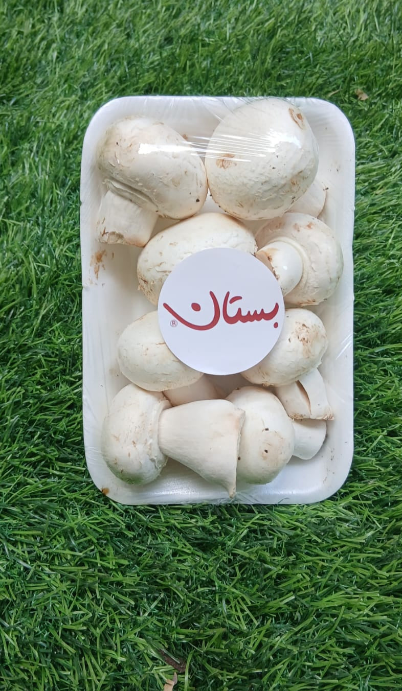 Mushroom مشروم طازج