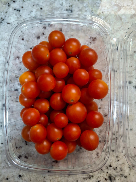 Cherry Tomato طماطم شيرى