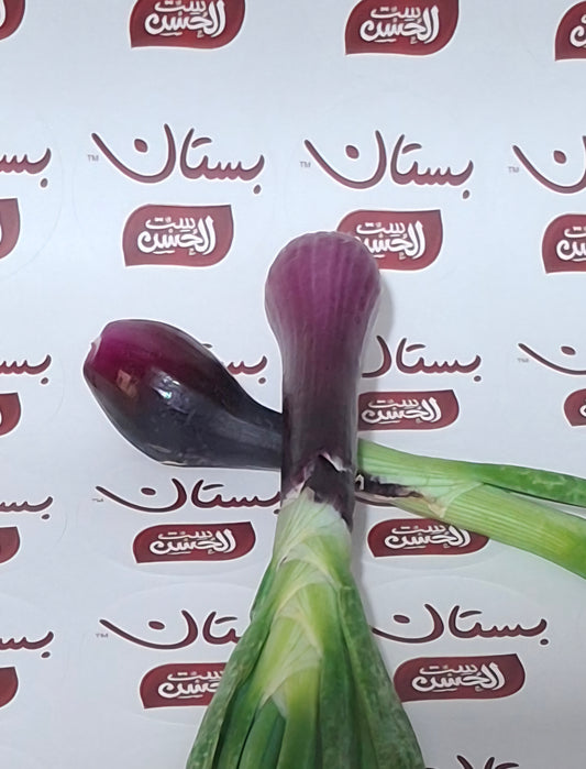Green Onions بصل اخضر