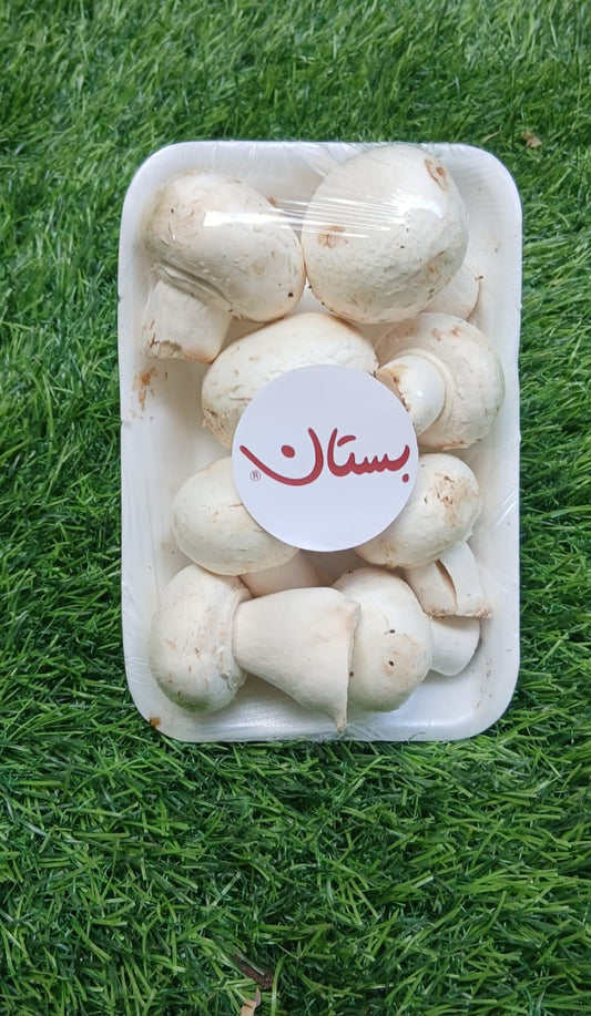 Mushroom  مشروم طازج