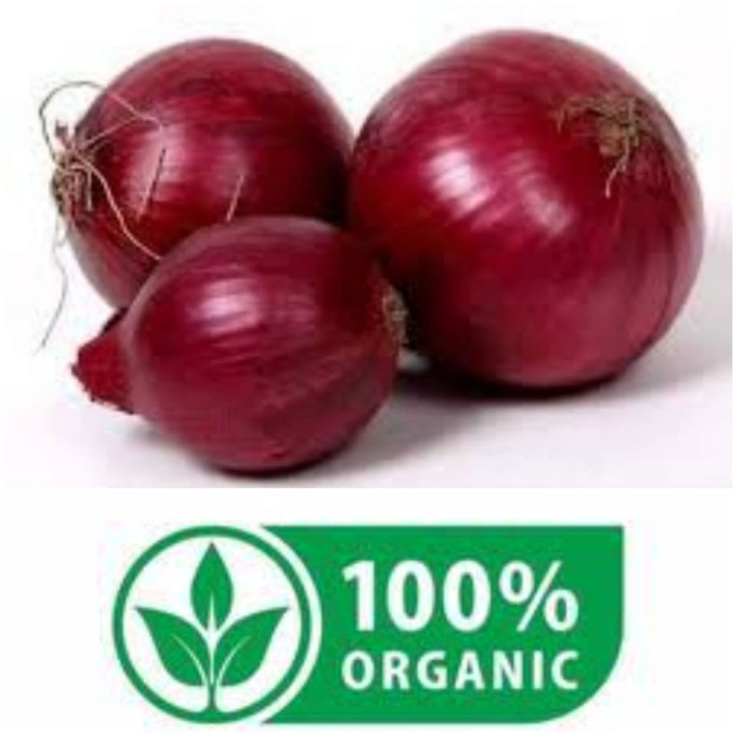 Onions  بصل